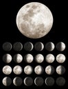 Lunar or Moon Phases Royalty Free Stock Photo