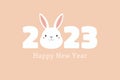2023 Lunar New Year cute funny rabbit face, text