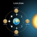 Lunar phase. phase of the Moon Royalty Free Stock Photo