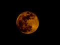Lunar Tetrad. Lunar Eclipse. Blood Moon On Black Sky Background.
