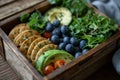 Lunch box of leaf salad avocado blueberries Royalty Free Stock Photo