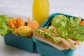 Lunch box with a sandwich, fresh vegetables and fruits, a bottle of juice on a light background. Healthy school lunch. Zero waste Royalty Free Stock Photo