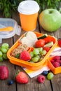 Lunch box with sandwich and fruits Royalty Free Stock Photo
