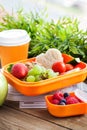 Lunch box with sandwich and fruits Royalty Free Stock Photo