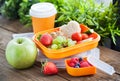 Lunch box with sandwich and fruits Royalty Free Stock Photo