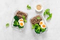 Lunch boxes with broccoli, quinoa and egg, healthy food, balanced eating concept