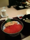Salmon roe and sea urchin donburi rice bowl in Hokkaido, Japan Royalty Free Stock Photo