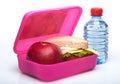 School Lunch Box Royalty Free Stock Photo