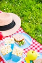 Lunch in the park on the green grass. Summer sunny day and picnic basket Royalty Free Stock Photo