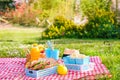 Lunch in the park on the green grass. Summer sunny day and picnic basket Royalty Free Stock Photo