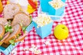 Lunch in the park on the green grass. Summer sunny day and picnic basket Royalty Free Stock Photo