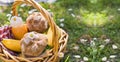 Lunch in the park on the green grass. Summer sunny day and picnic basket. Sandwiches, burgers for street food outdoors Royalty Free Stock Photo