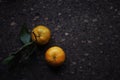 Lunch Provencal style still life on wooden table, flower pattern, mandarines, daylight. Royalty Free Stock Photo