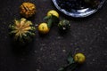 Lunch Provencal style still life on wooden table, flower pattern, seasonal vegetables, wine grapes, pumpkin, daylight.