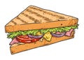 Lunch sandwich label colorful detailed