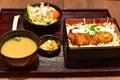 Lunch Set of Japanese Rice Topped with Teriyaki Chicken Royalty Free Stock Photo