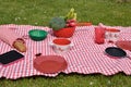 Lunch set on a lawn Royalty Free Stock Photo