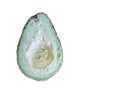 Ripe Avocado, Brown SkinÃ¢â¬â¹ isolatedÃ¢â¬â¹ onÃ¢â¬â¹ whiteÃ¢â¬â¹ background.