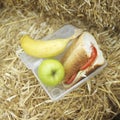 Lunchbox with an apple, a banana and a sandwich. Conceptual image shot