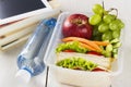 Lunchbox with sandwich, vegetables and fruit, bottle of water and pad on a white background Royalty Free Stock Photo