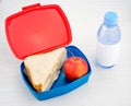 Lunchbox Royalty Free Stock Photo