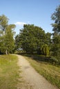 Luneburg Heath - Hike path