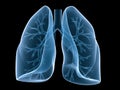 Lung and bronchi