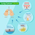 Lung cancer causes Royalty Free Stock Photo