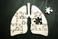 Lung cancer or respiratory disease concept. Wooden puzzle on the surface. Royalty Free Stock Photo