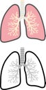 Lung cross-sectional view