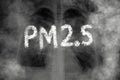 Lung disease from PM2.5 pollution Royalty Free Stock Photo