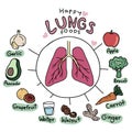 Happy lungs foods cartoon infographic illustration