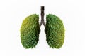 Lung green tree-shaped  images, medical concepts, autopsy, 3D display and animals as an element Royalty Free Stock Photo