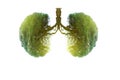 Lung green tree-shaped images, medical concepts, autopsy, 3D display and animals as an element