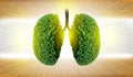 Lung green tree-shaped images, medical concepts, autopsy, 3D display and animals as an element