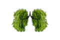 Lung green tree-shaped images, medical concepts, autopsy, 3D display and animals as an element Royalty Free Stock Photo