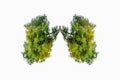 Lung green tree-shaped images, medical concepts, autopsy, 3D display and animals as an element