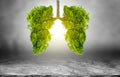 Lung green tree-shaped images, medical concepts, autopsy, 3D display and animals as an element