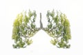 Lung green tree-shaped images, medical concepts, autopsy, 3D display and animals as an element