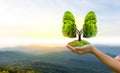 Lung green tree-shaped images, medical concepts, autopsy, 3D display and animals as an element Royalty Free Stock Photo