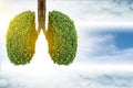 Lung green tree-shaped  images, medical concepts, autopsy, 3D display and animals as an element Royalty Free Stock Photo