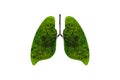 Lung green tree-shaped images, medical concepts, autopsy, 3D display and animals as an element