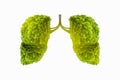 Lung green tree-shaped images, medical concepts, autopsy, 3D display and animals as an element