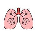 lung, human body parts, anatomical lung icon