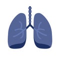 Lung or human lungs icon with bronchial system vector flat cartoon illustration isolated on white background Royalty Free Stock Photo