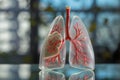 lung model with visible bronchi on a reflective glass surface