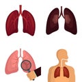 Lung organ human breathing icons set vector isolated