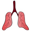 The lung of the patient. An air breathing organ with a capillary network is more prone to complications from COVID19 infection.