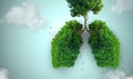 Lung-shaped tree Royalty Free Stock Photo