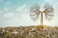 Lung tree grows between Mountains of Trash. In unreal surreal environment garbage nature pollution ecology. Environment concept Royalty Free Stock Photo